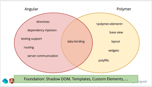 Comparison of Angular and Polymer features